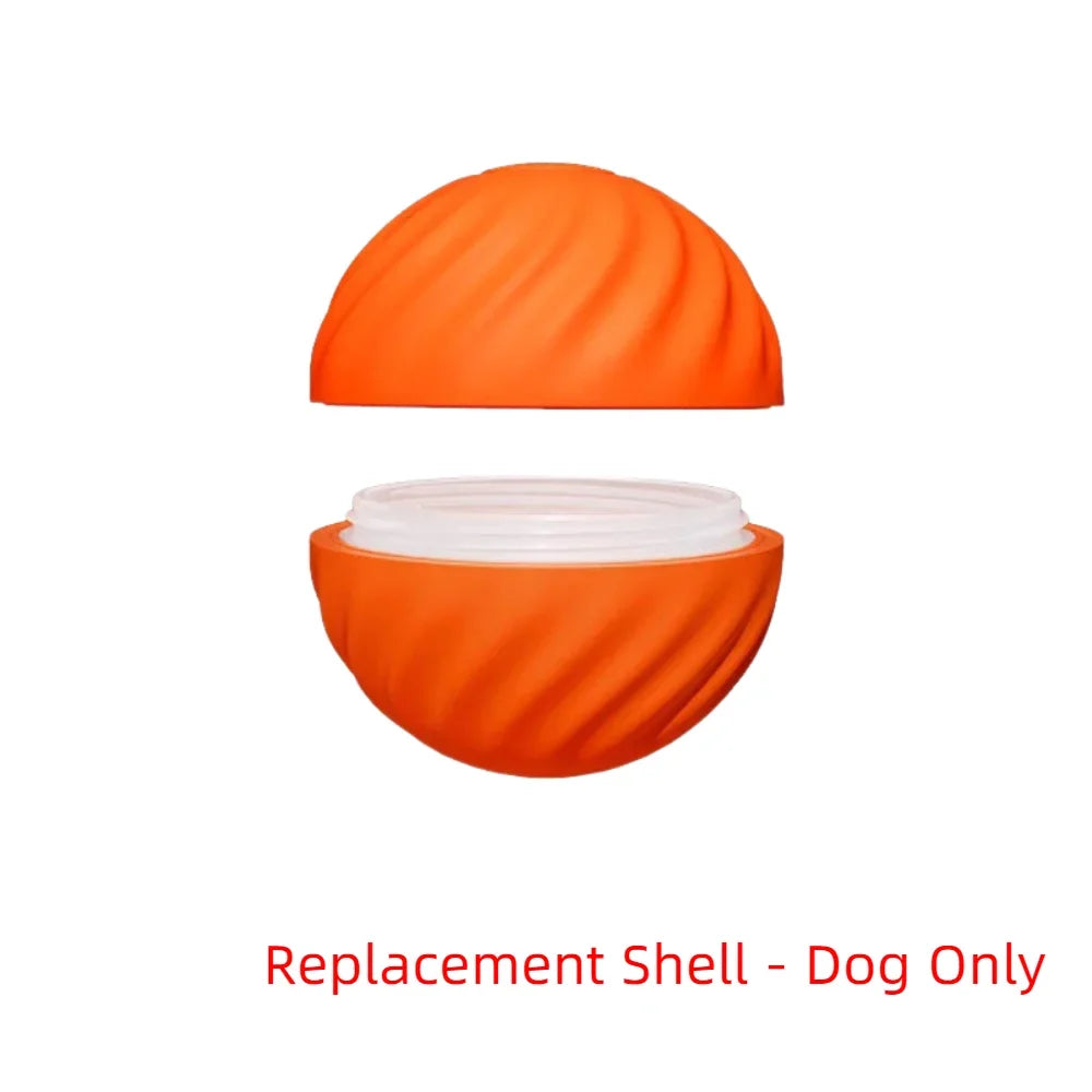 Interactive Pet Toy