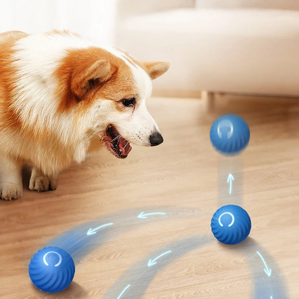 Interactive Pet Toy