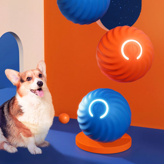 Interactive Pet Toy 